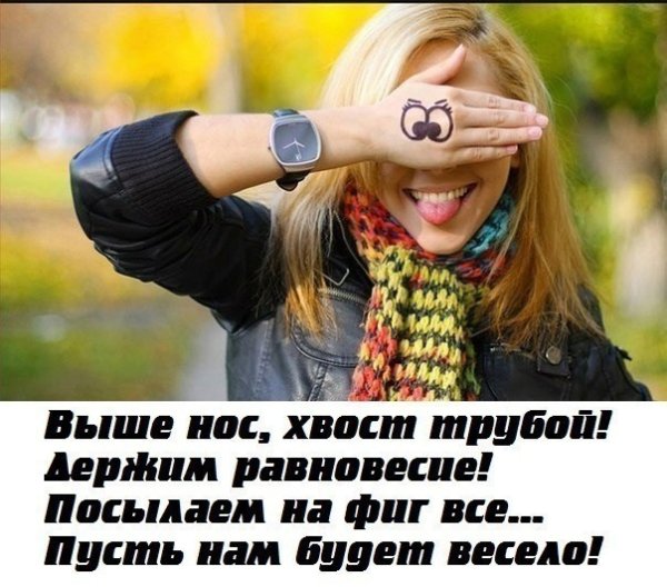 Выше нос картинки