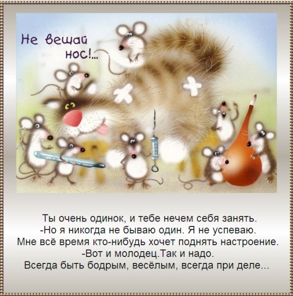 Смешные слова поддержки