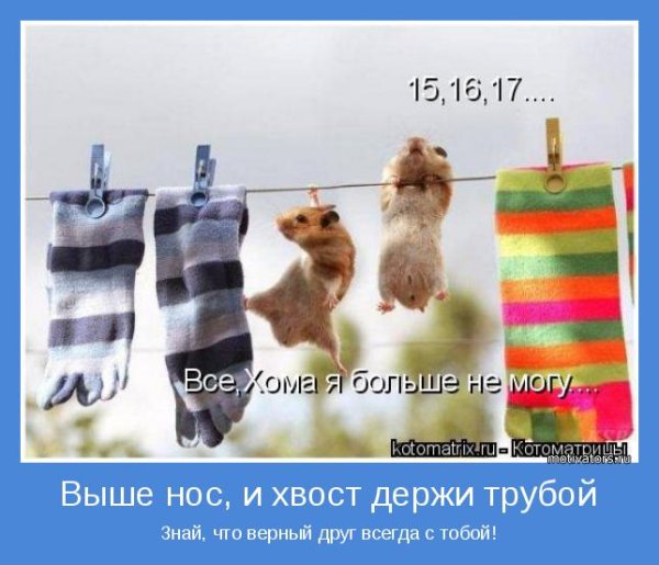 Открытка выше нос