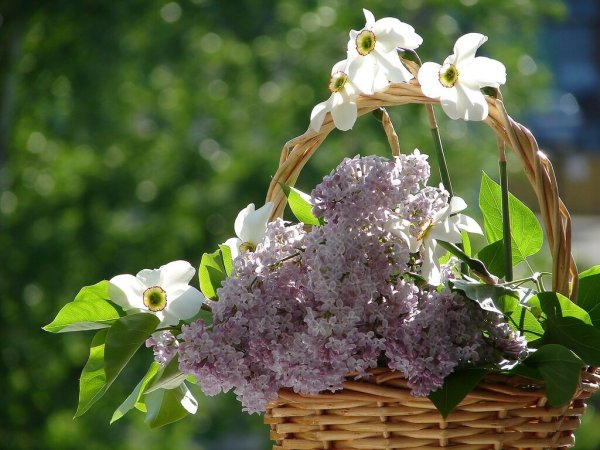 Букет Весеннее настроение