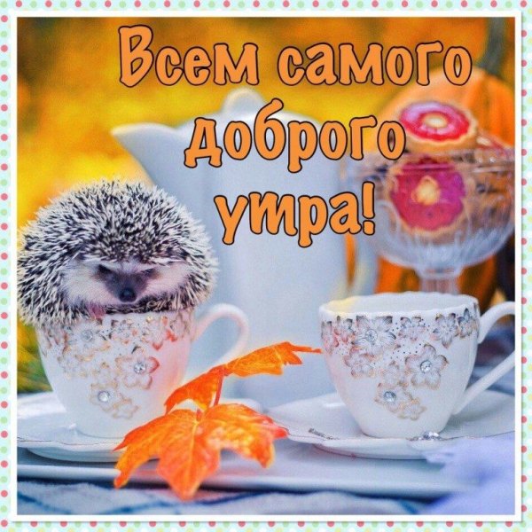 Доброго утро и отличного настрокния