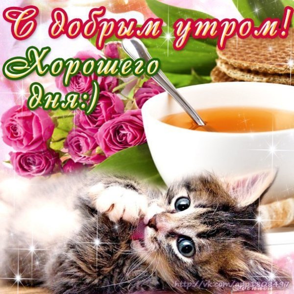 Доброе утро и отличного настроения