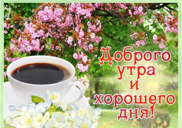 Доброе утро отличного дня