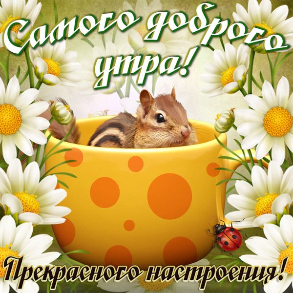 Открытки доброе утро