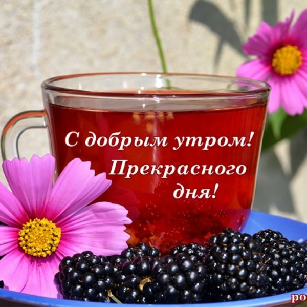 Пожелания доброго утра и хорошего дня