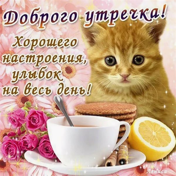 Пожелания сдобрым утиом