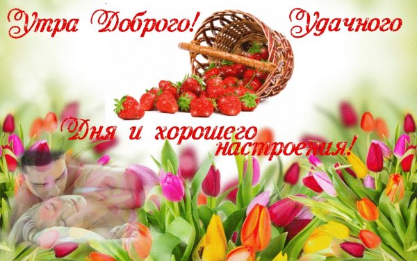 Доброе утро хорошего настроения