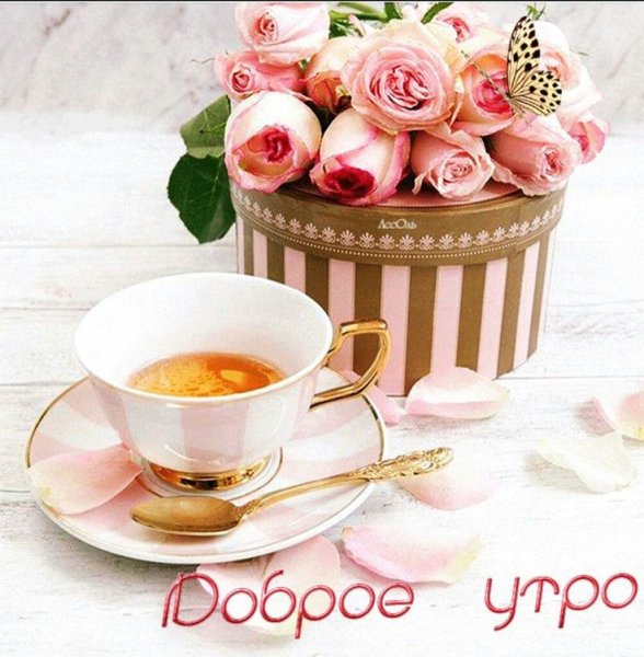 Доброе утро прекрасного дня