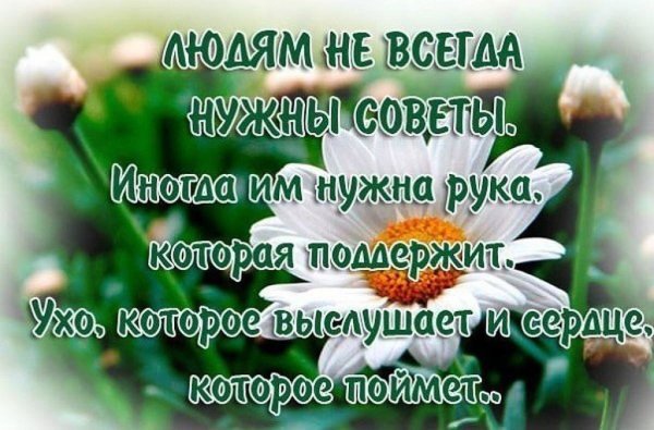 Мудрые высказывания пожелания