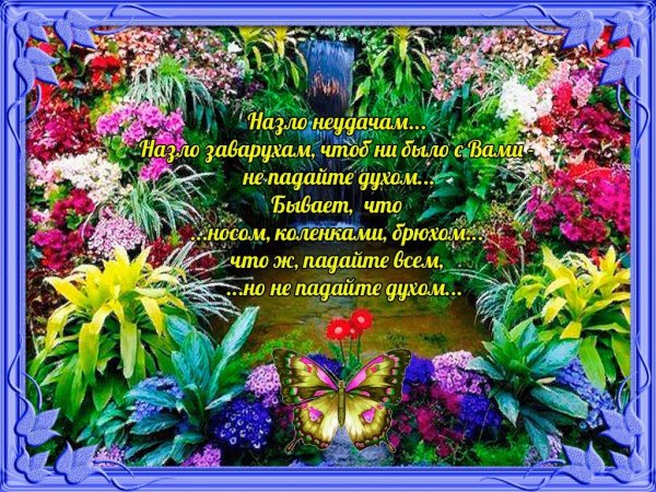 Добрые пожелания поддержки