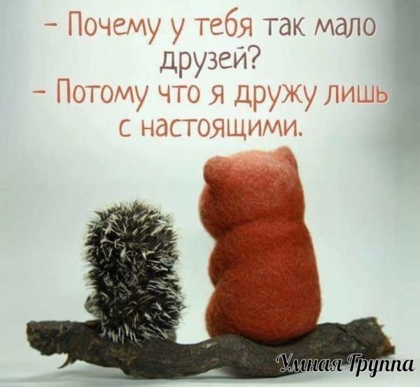 Поддержка в трудную минуту
