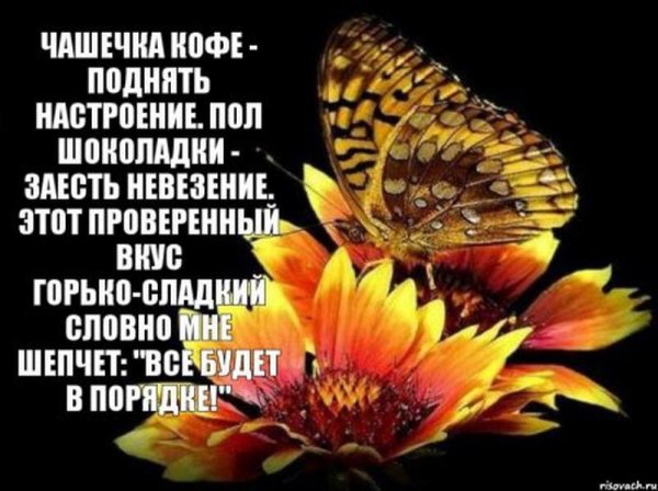 Стихи для настроения
