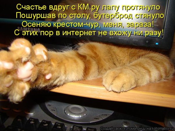 Котоматрицы с надписями