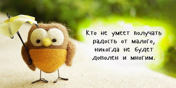 Позитивные высказывания