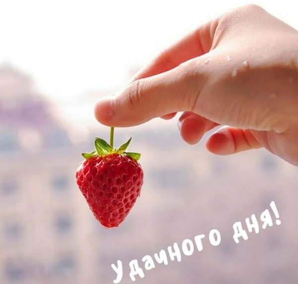 С добрым утром клубника
