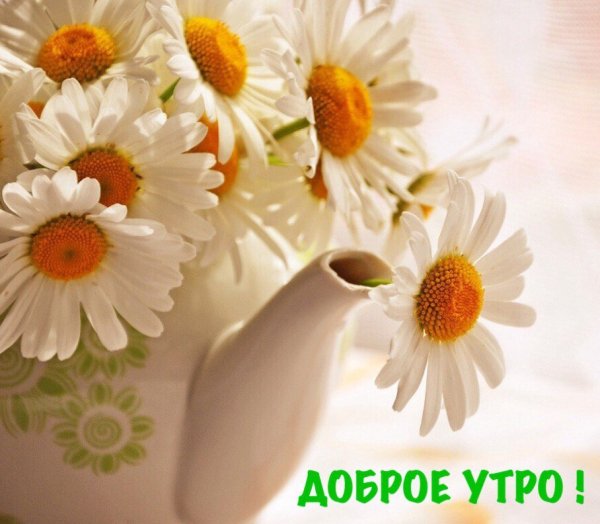 Доброго утра и хорошеготнастроения