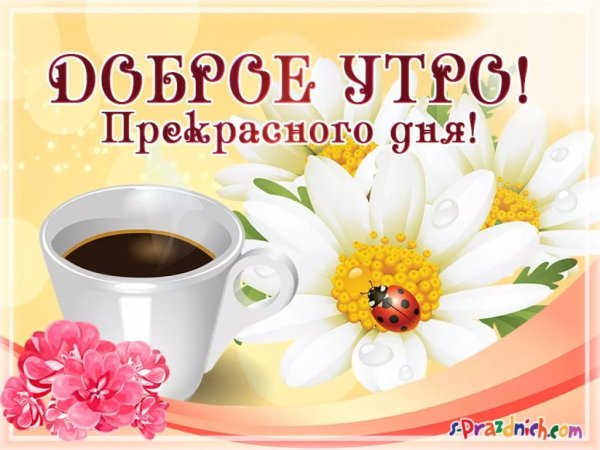 Доброго утра прекра ного дня