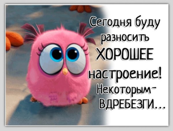 Прикольные статусы