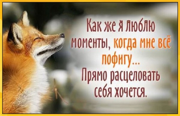 Высказывания для поднятия настроения
