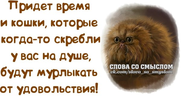 Цитаты поднимающие настроение