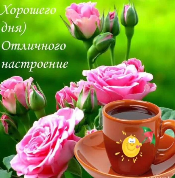 Доброго дня и хорошего настроения