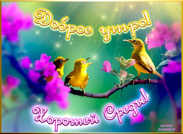 Доброе Весеннее утро среды