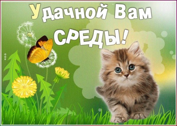Доброе утро среда
