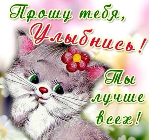 Открытки ты лучше всех