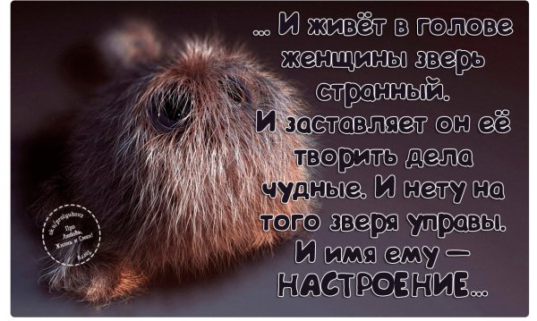 И живёт в голове женщины зверь странный
