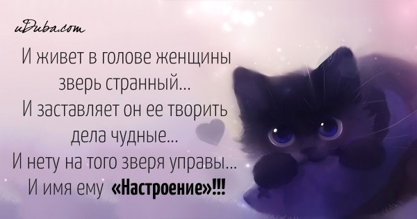 Высказывания для женщин для настроения