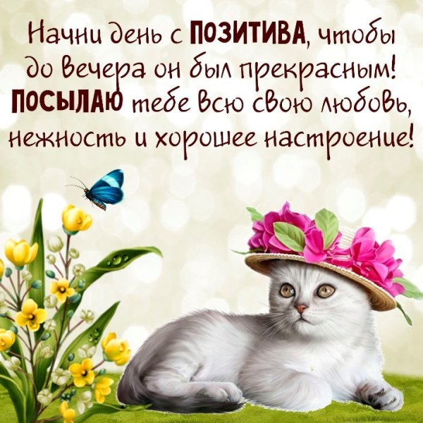 Позитивные пожелания