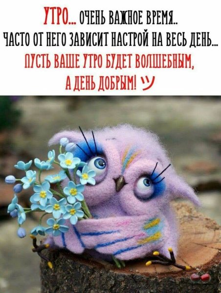С добрым утром позитивные
