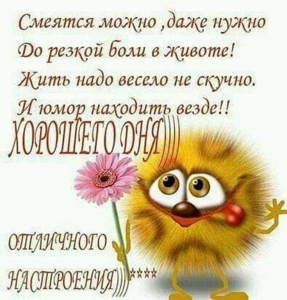 Пожелания доброго утра прикольные