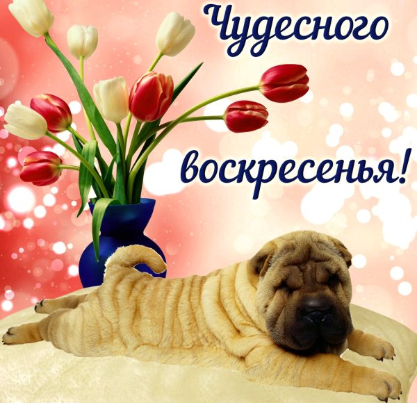 Открытки хорошего воскресенья
