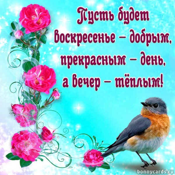 Открытки с добрым утром воскресенья