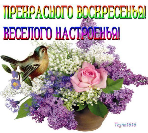 С добрым воскресным утром