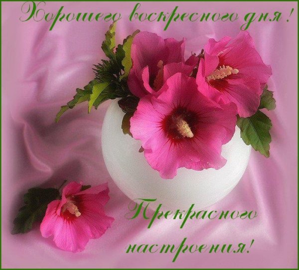Поздравления с воскресным днем