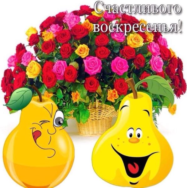 Солнечного воскресного денечка