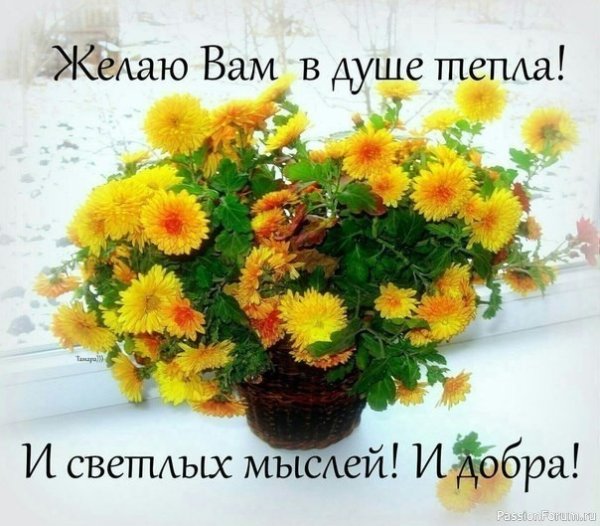 Пожелание теплого солнечного дня
