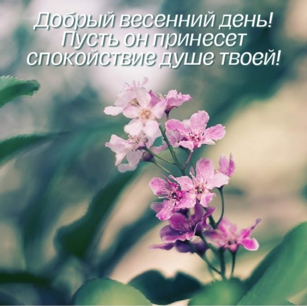 Доброго дня и душевного спокойствия