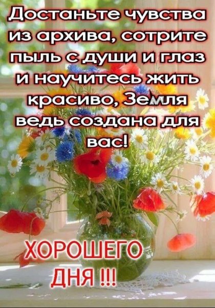 Добрые пожелания и высказывания