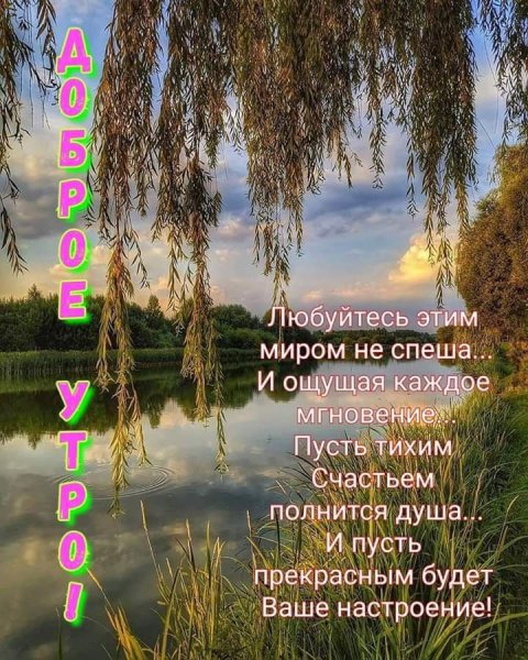 Душевные пожелания с добрым утром