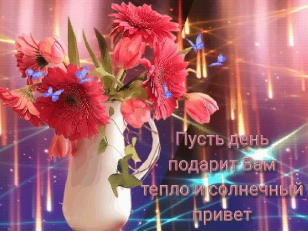 Душевного тепла и отличного настроения