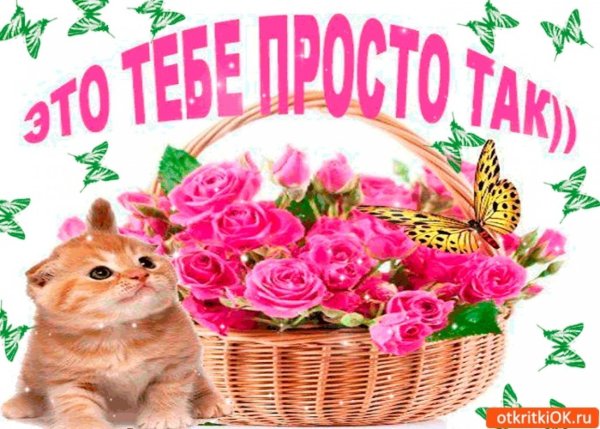 Красивые поздравления просто так