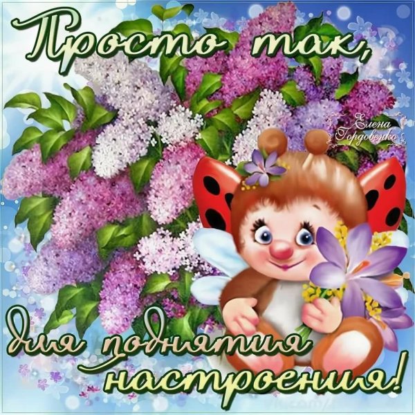 Красивые открытки просто так для хорошего настроения