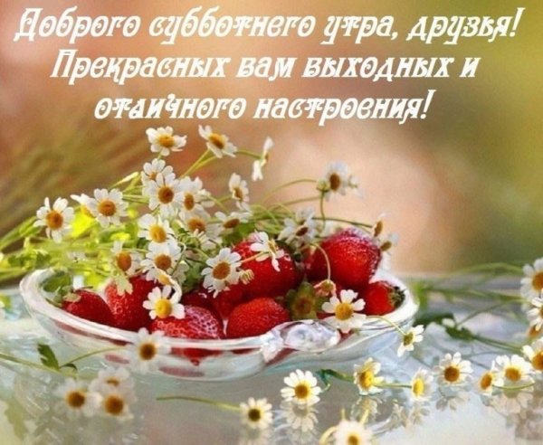 Сдобрым субьотним утром