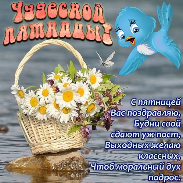 Добрые пожелания