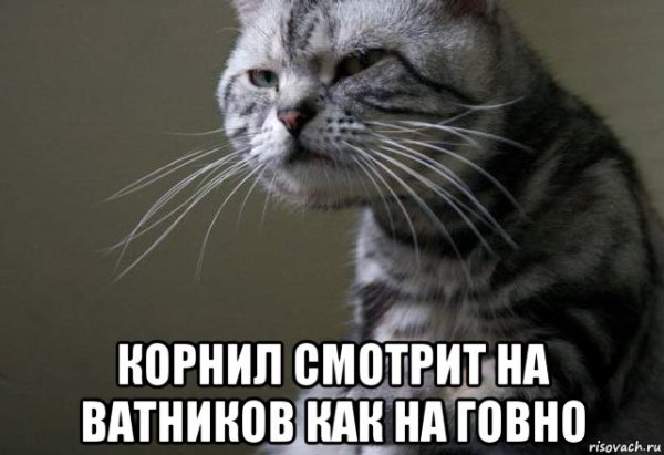 Настроение говно картинки