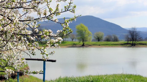 Весна природа
