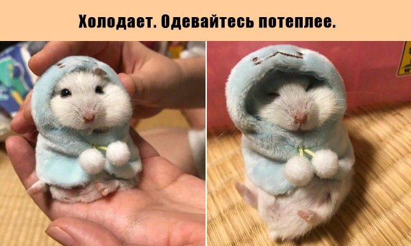 Картинки для поднятия настроения